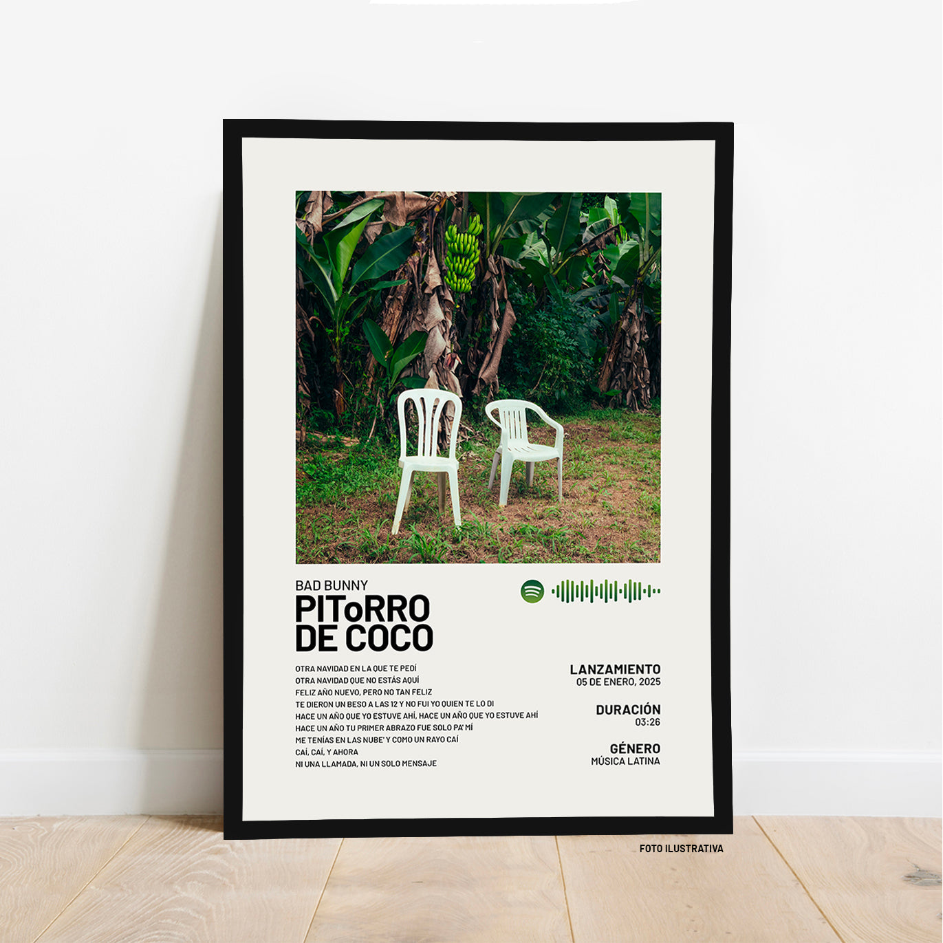 PIToRRO DE COCO