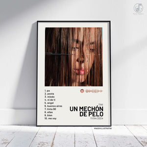 UN MECHÓN DE PELO