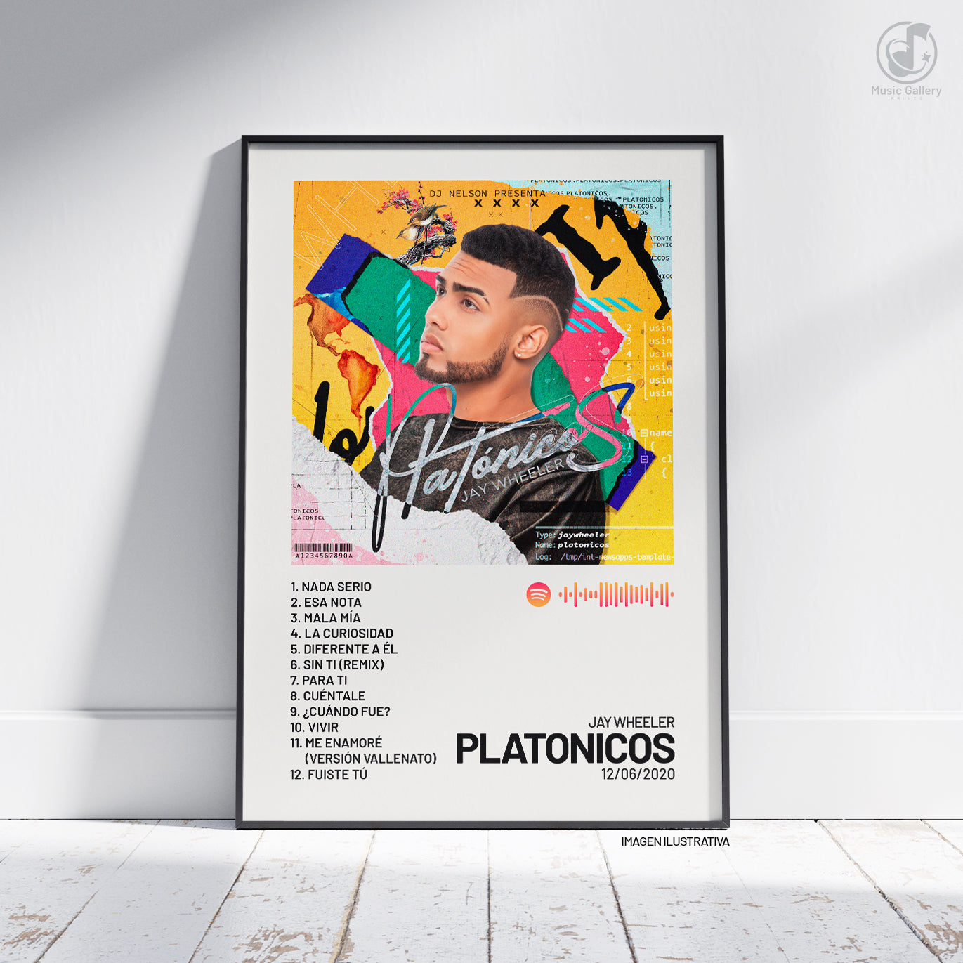 PLATONICOS